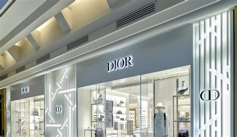 dior troy somerset|christian dior designer.